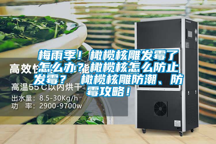 梅雨季！橄欖核雕發霉了怎么辦？橄欖核怎么防止發霉？ 橄欖核雕防潮、防霉攻略！