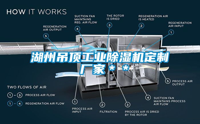 湖州吊頂工業除濕機定制 廠家＊＊