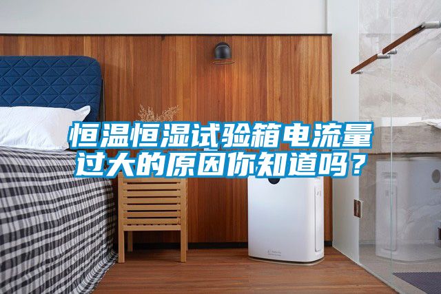 恒溫恒濕試驗箱電流量過大的原因你知道嗎？