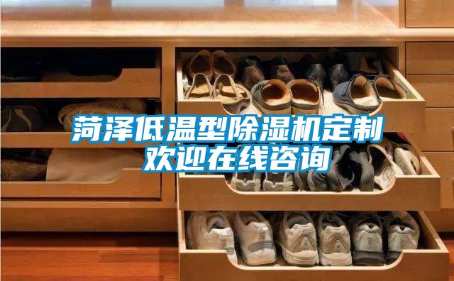菏澤低溫型除濕機定制 歡迎在線咨詢