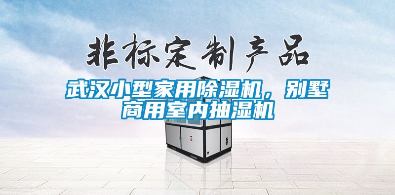 武漢小型家用除濕機，別墅商用室內抽濕機