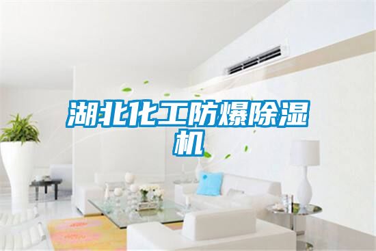 湖北化工防爆除濕機