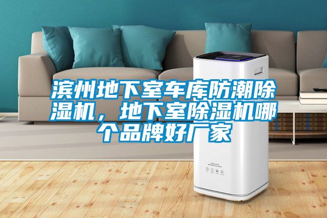 濱州地下室車庫防潮除濕機(jī)，地下室除濕機(jī)哪個品牌好廠家