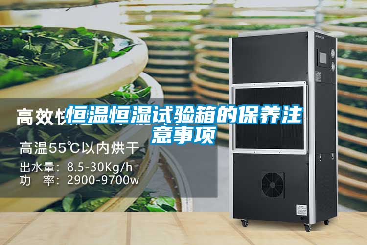恒溫恒濕試驗(yàn)箱的保養(yǎng)注意事項(xiàng)