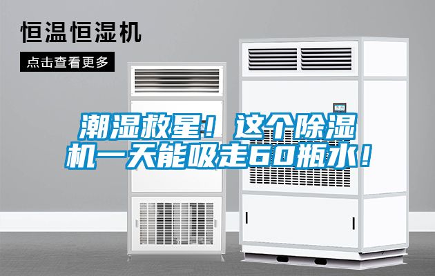 潮濕救星！這個除濕機一天能吸走60瓶水！