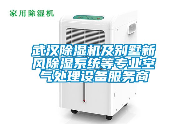 武漢除濕機及別墅新風除濕系統等專業空氣處理設備服務商