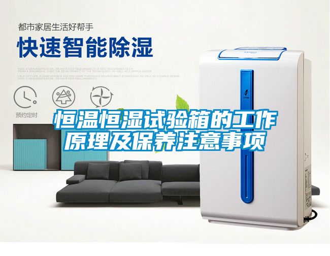 恒溫恒濕試驗箱的工作原理及保養(yǎng)注意事項