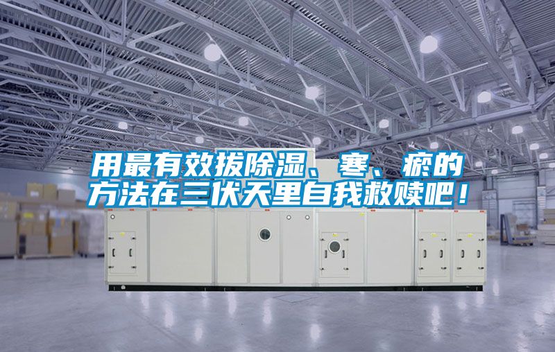 用最有效拔除濕、寒、瘀的方法在三伏天里自我救贖吧！