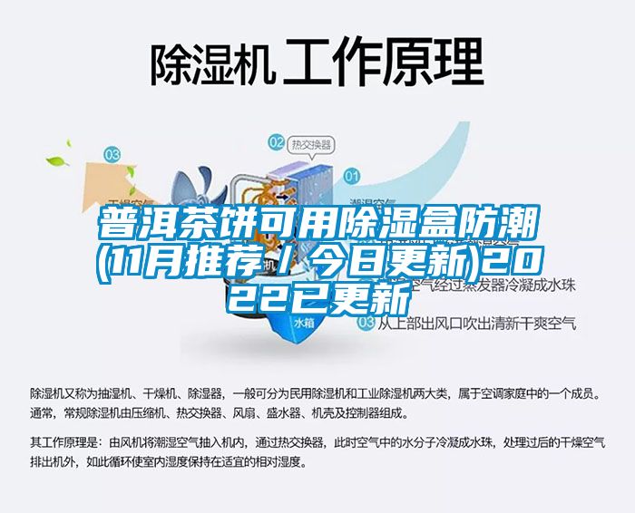 普洱茶餅可用除濕盒防潮(11月推薦／今日更新)2022已更新