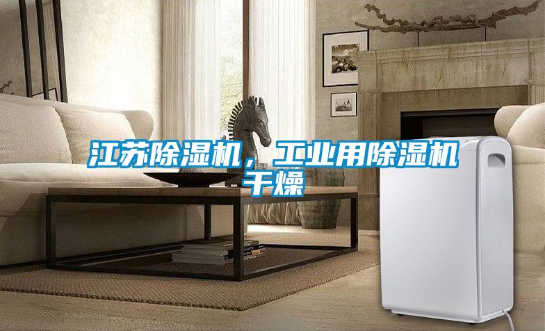 江蘇除濕機，工業用除濕機干燥