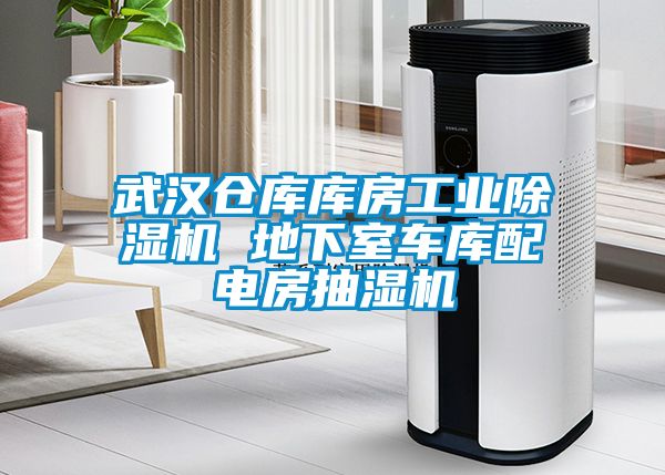 武漢倉庫庫房工業除濕機 地下室車庫配電房抽濕機