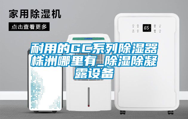 耐用的GC系列除濕器株洲哪里有_除濕除凝露設備