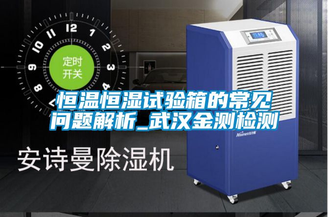 恒溫恒濕試驗箱的常見問題解析_武漢金測檢測
