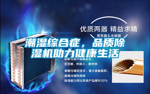 潮濕綜合癥，品質(zhì)除濕機(jī)助力健康生活