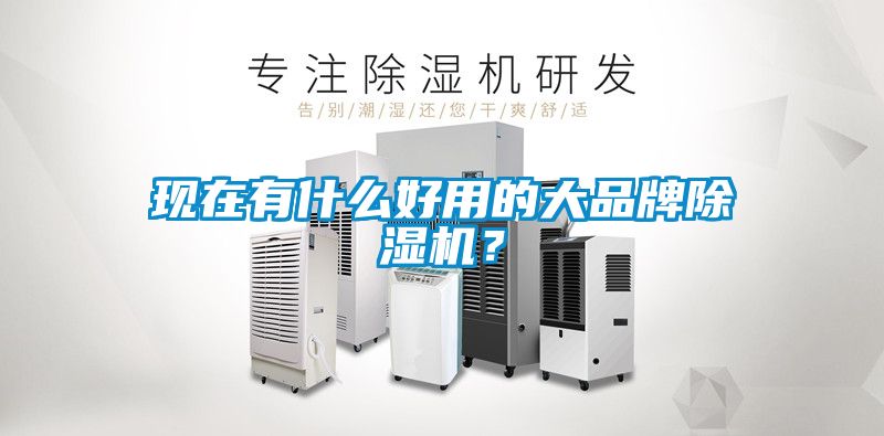 現(xiàn)在有什么好用的大品牌除濕機？