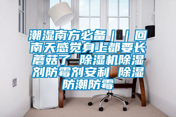潮濕南方必備｜｜回南天感覺(jué)身上都要長(zhǎng)蘑菇了 除濕機(jī)除濕劑防霉劑安利 除濕防潮防霉