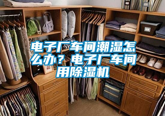電子廠車間潮濕怎么辦？電子廠車間用除濕機