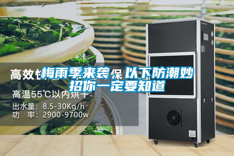 梅雨季來襲，以下防潮妙招你一定要知道