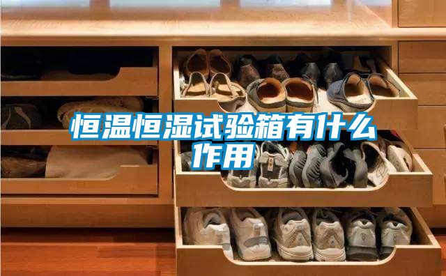 恒溫恒濕試驗(yàn)箱有什么作用