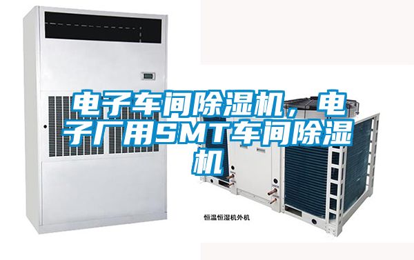 電子車間除濕機，電子廠用SMT車間除濕機