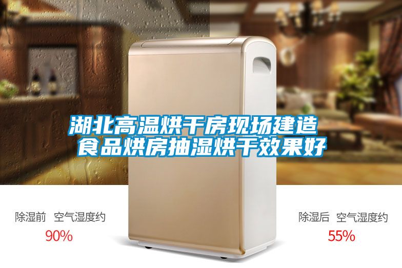 湖北高溫烘干房現場建造 食品烘房抽濕烘干效果好