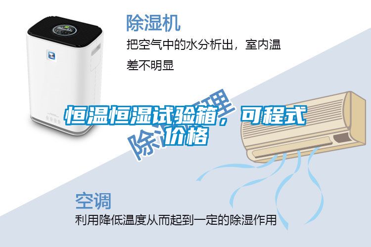 恒溫恒濕試驗箱，可程式價格
