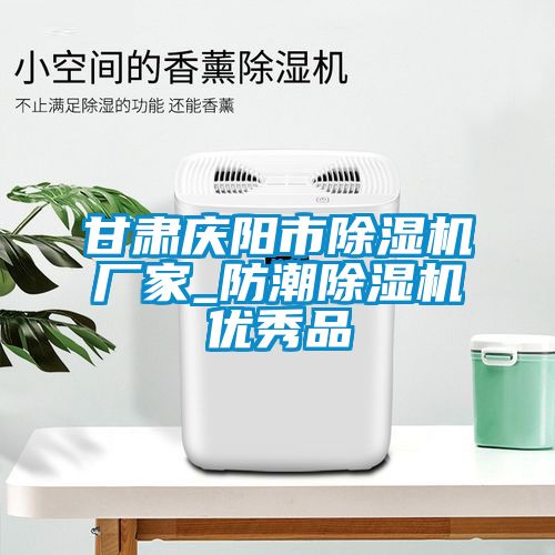 甘肅慶陽市除濕機(jī)廠家_防潮除濕機(jī)優(yōu)秀品