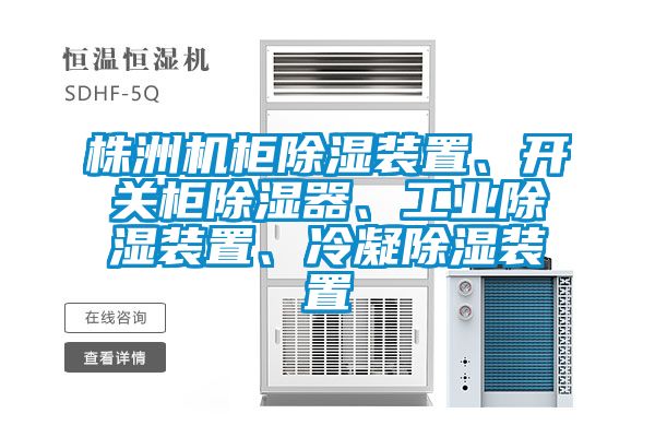 株洲機柜除濕裝置、開關柜除濕器、工業除濕裝置、冷凝除濕裝置