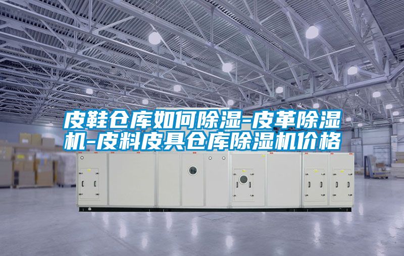 皮鞋倉庫如何除濕-皮革除濕機-皮料皮具倉庫除濕機價格