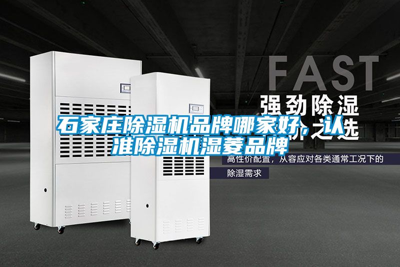 石家莊除濕機品牌哪家好，認(rèn)準(zhǔn)除濕機濕菱品牌