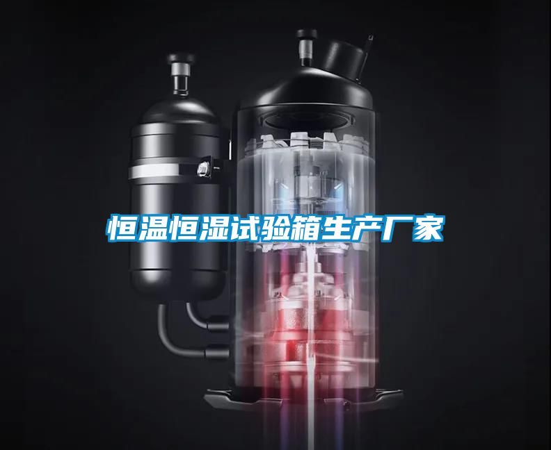 恒溫恒濕試驗箱生產廠家