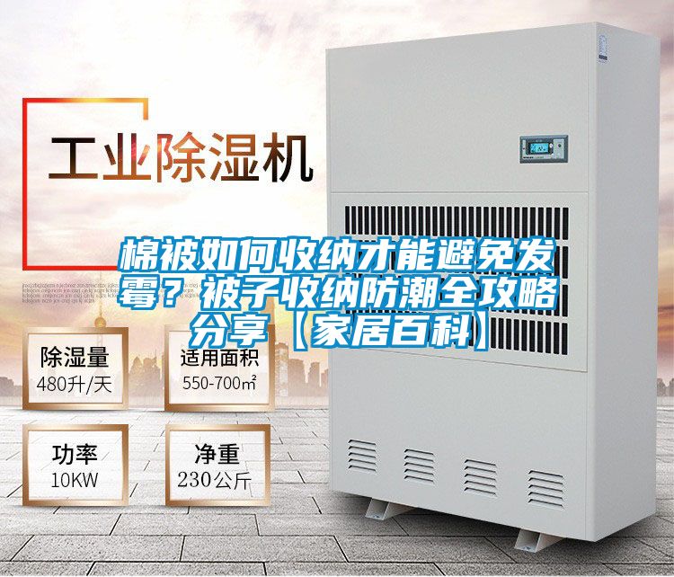 棉被如何收納才能避免發(fā)霉？被子收納防潮全攻略分享【家居百科】