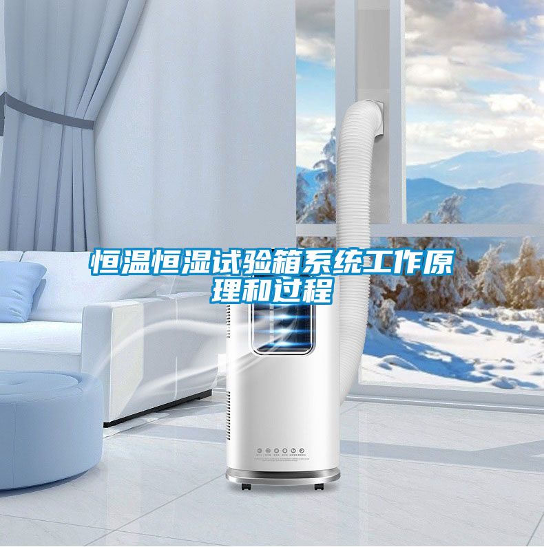 恒溫恒濕試驗箱系統工作原理和過程