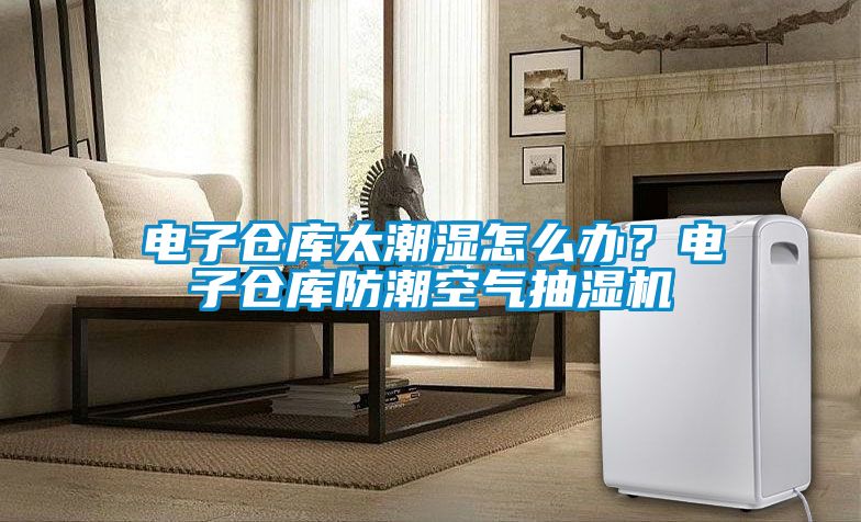 電子倉庫太潮濕怎么辦？電子倉庫防潮空氣抽濕機