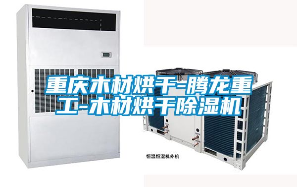 重慶木材烘干-騰龍重工-木材烘干除濕機