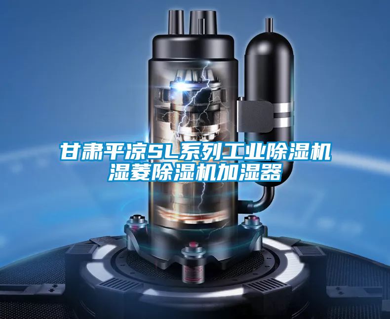 甘肅平涼SL系列工業除濕機濕菱除濕機加濕器
