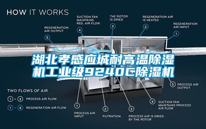 湖北孝感應城耐高溫除濕機工業級9240C除濕機