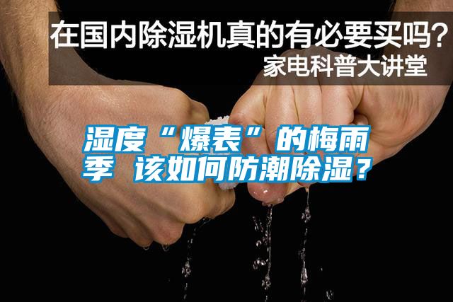 濕度“爆表”的梅雨季 該如何防潮除濕？