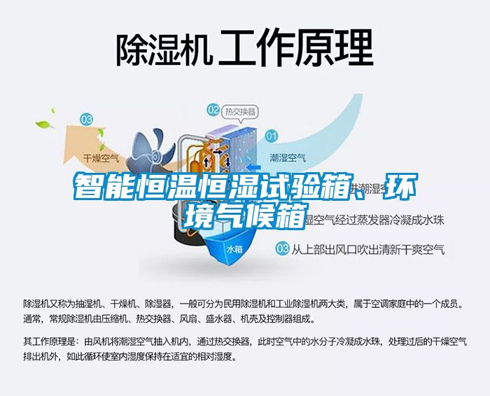 智能恒溫恒濕試驗箱、環境氣候箱