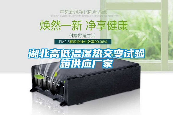 湖北高低溫濕熱交變試驗箱供應(yīng)廠家
