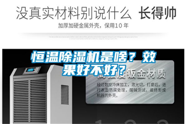 恒溫除濕機是啥？效果好不好？