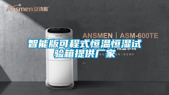 智能版可程式恒溫恒濕試驗(yàn)箱提供廠家
