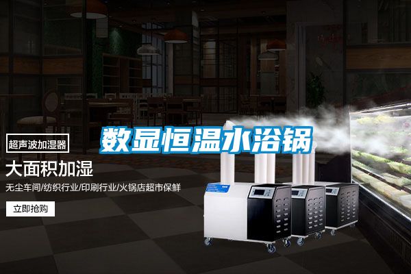 數顯恒溫水浴鍋
