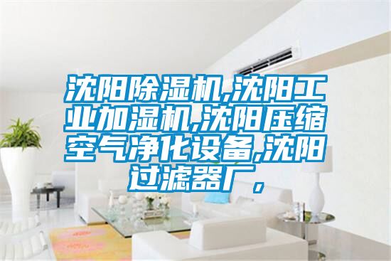 沈陽除濕機,沈陽工業加濕機,沈陽壓縮空氣凈化設備,沈陽過濾器廠,