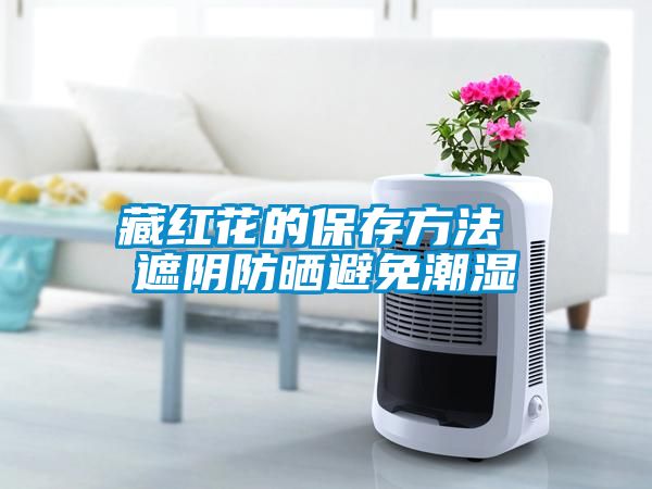 藏紅花的保存方法 遮陰防曬避免潮濕