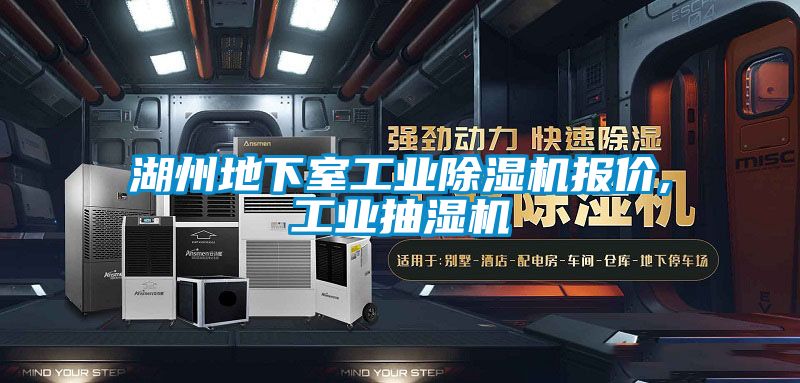 湖州地下室工業(yè)除濕機(jī)報(bào)價(jià),工業(yè)抽濕機(jī)