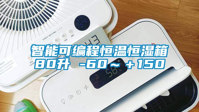 智能可編程恒溫恒濕箱80升 -60～＋150℃