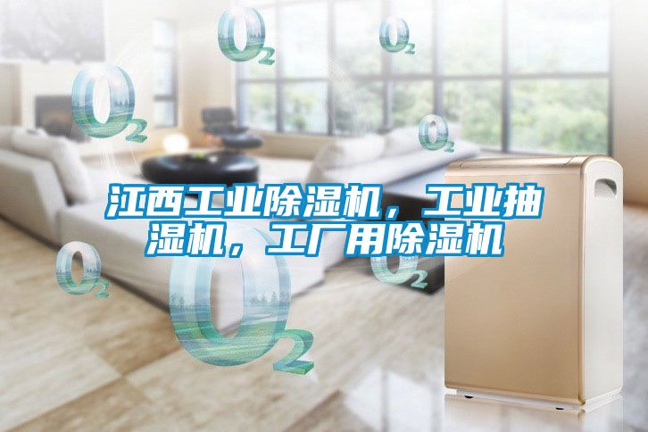 江西工業除濕機，工業抽濕機，工廠用除濕機
