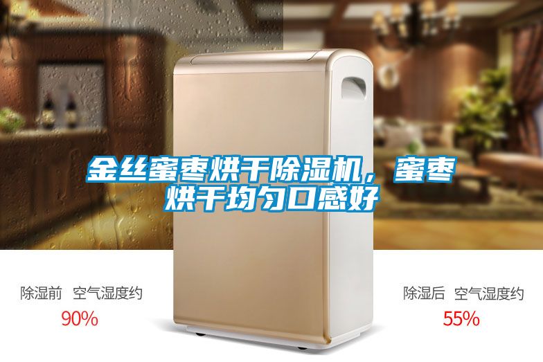 金絲蜜棗烘干除濕機，蜜棗烘干均勻口感好