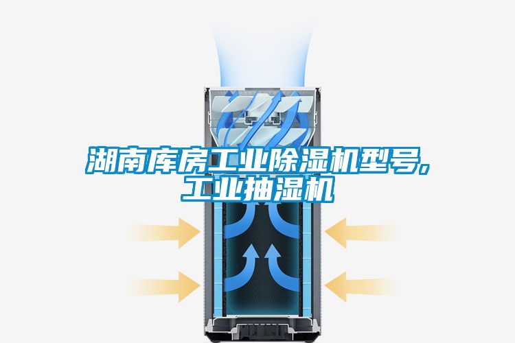 湖南庫房工業除濕機型號,工業抽濕機